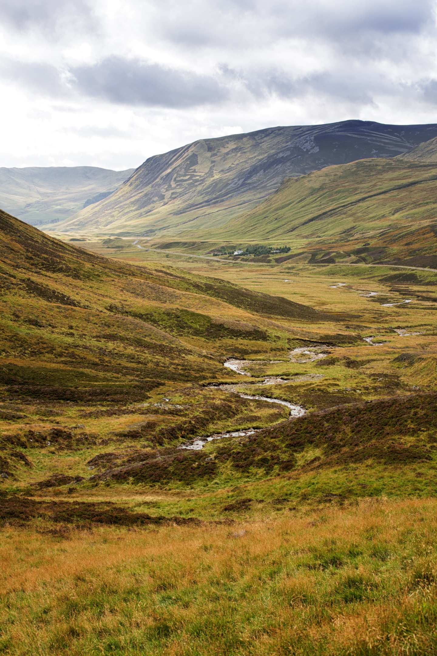Paysages sur le parc national des Cairngorms