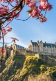 vue sur le château d'Edimbourg avec arbre en fleur au premier plan
