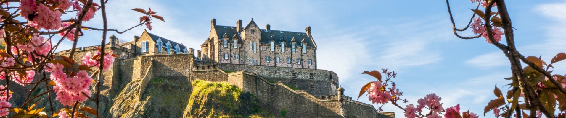 vue sur le château d'Edimbourg avec arbre en fleur au premier plan