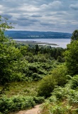 Vue sur le Loch Lomond depuis Conic Hill