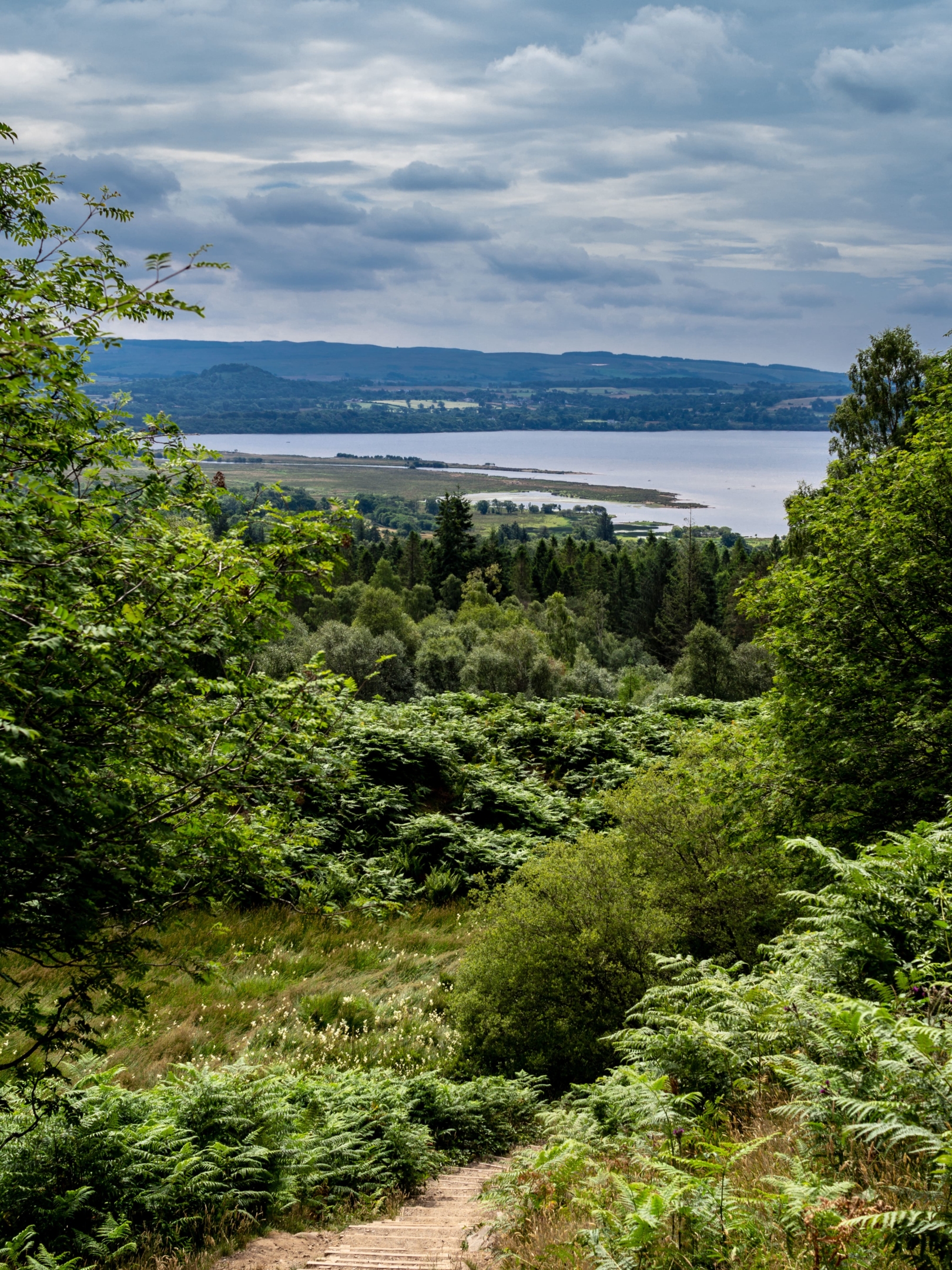 Vue sur le Loch Lomond depuis Conic Hill