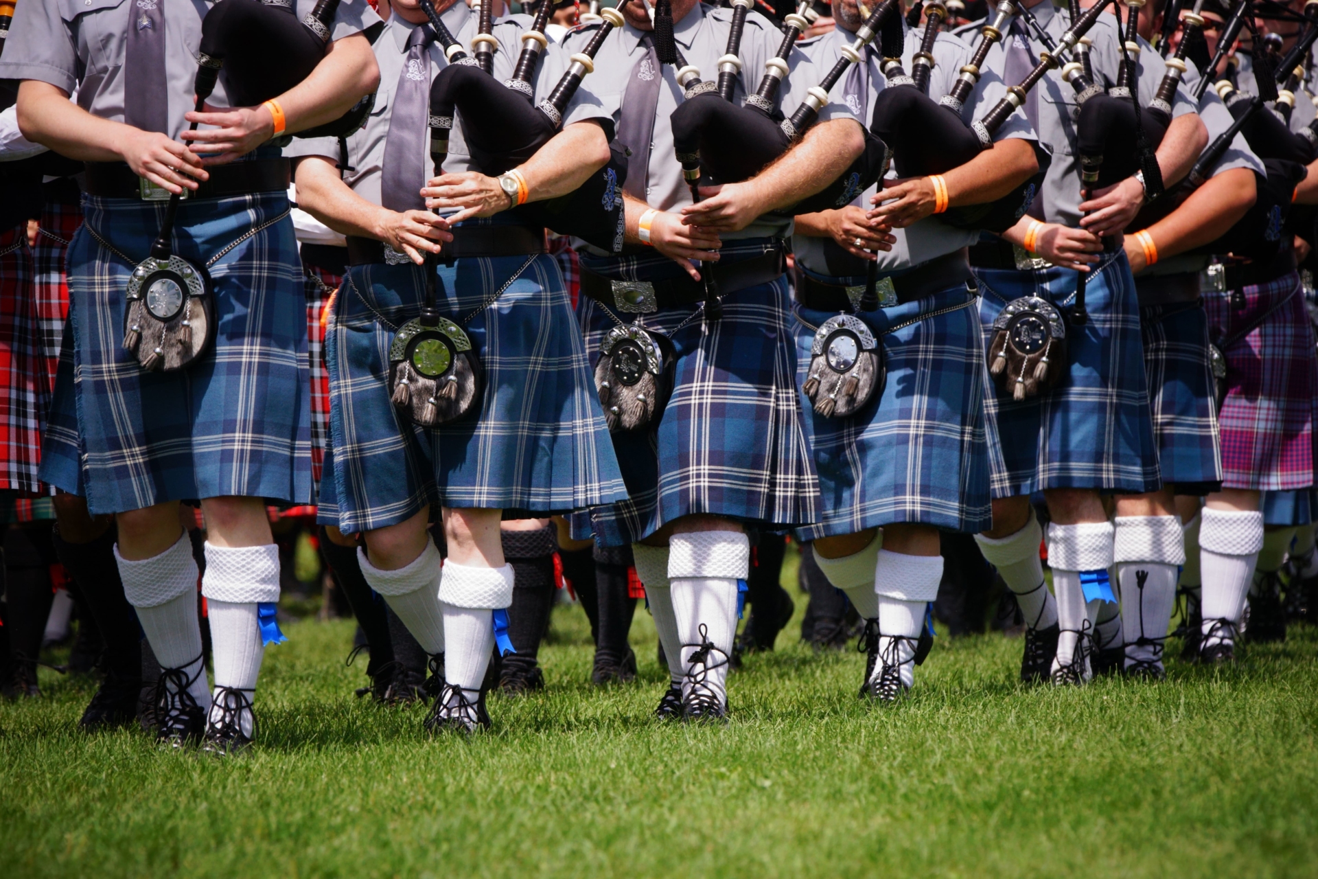joueurs de cornemuses en kilt bleus et blanc