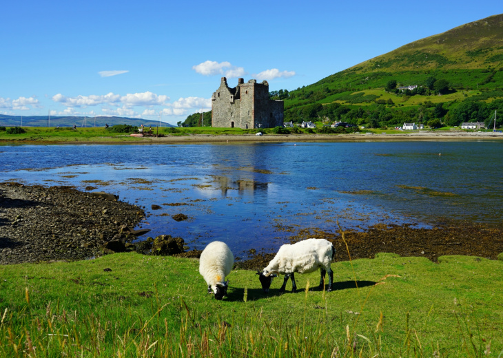 moutons devant un lac et un château