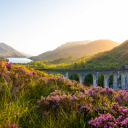 glenfinnan-ecosse