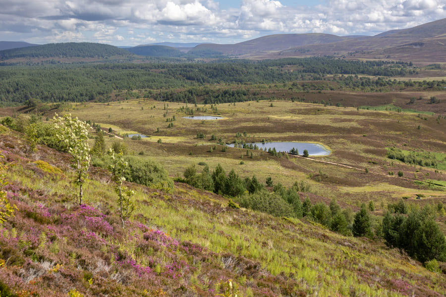 Cairngorms